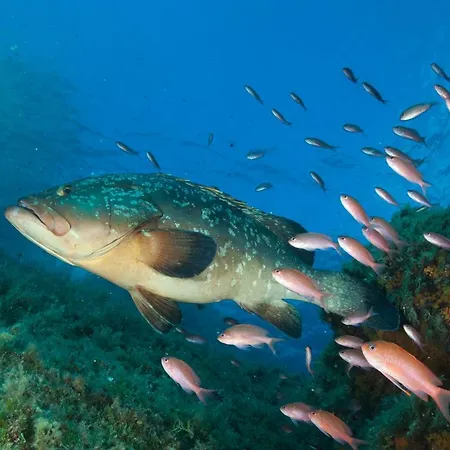 Le Lagon - Vision Luxe